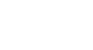 Lake Shore Insurance - Logo 700 White